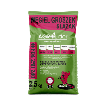 Węgiel groszek – Ślązak